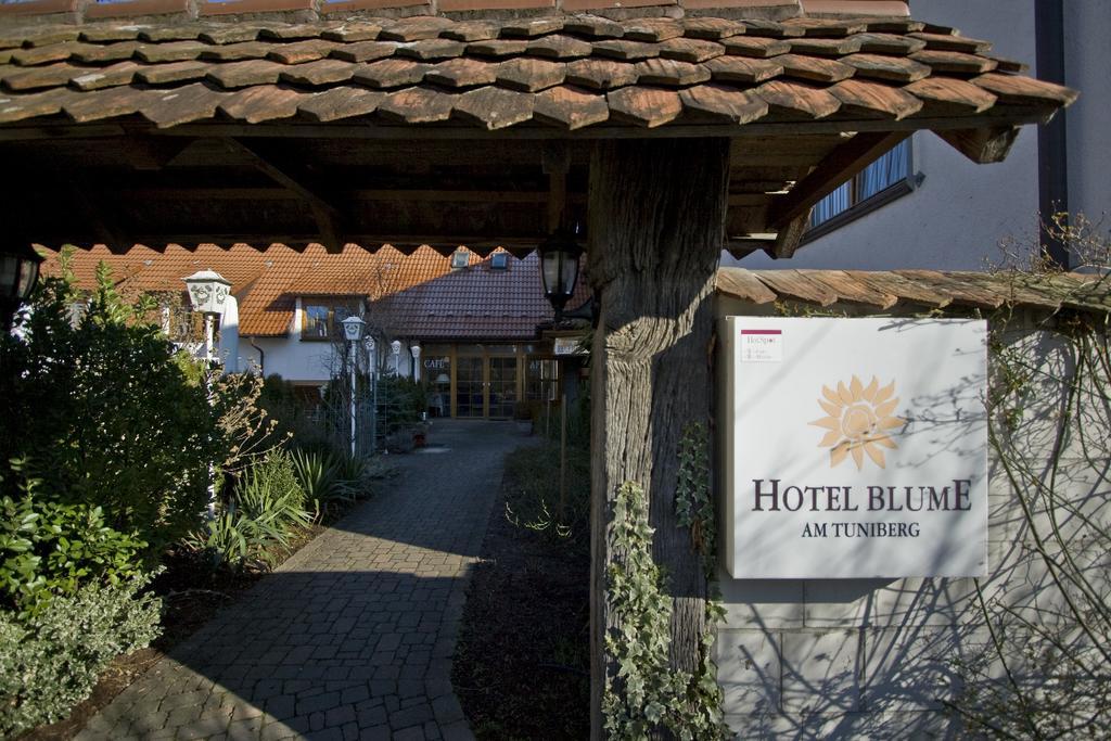 Hotel Blume فرايبورغ المظهر الخارجي الصورة